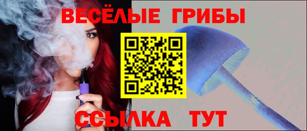 Егорьевск  Галлюциногенные грибы мухоморы  Вход с VPN 